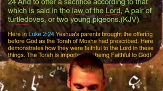 Bits of Torah Truths - An Offering was Made for Yeshua being the FirstBorn - Episode 22