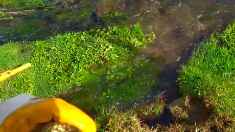 I Went To The Most Gold-Bearing Creek Bed In The World