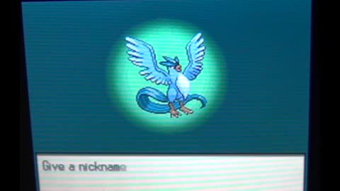 Articuno The Legendary Bird Pokemon Caught In Pokemon Black 2 By Using Action Replay