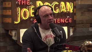 How the US Government Acts Against their People | Joe Rogan Experience