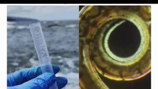 Unbelievable! Man Finds Shocking Treasures in Sea Water 🌊🔍