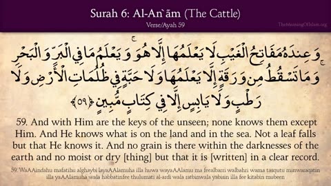 Quran: 6. Surat Al-An'am (The Cattle): Arabic and English translation HD