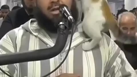 Viral video of Cat playing with Imam during prayer
