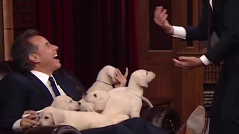 Puppy quiz Jerry Seinfeld and Jimmy Fallon won 13 million together