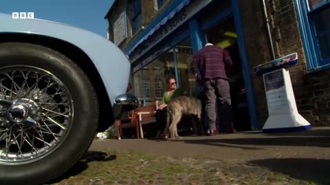 Puppys First Trip to the Seaside Wonderful World of Puppies BBC Earth_360p