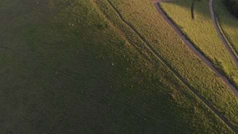 Drone Footage - High Quality View of a Field