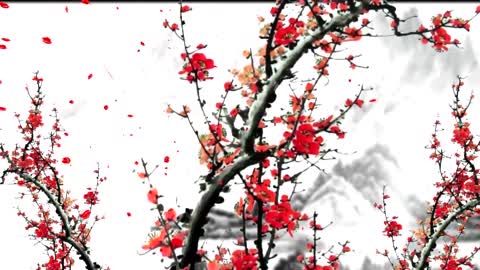 beautiful winter plum snow scene background video