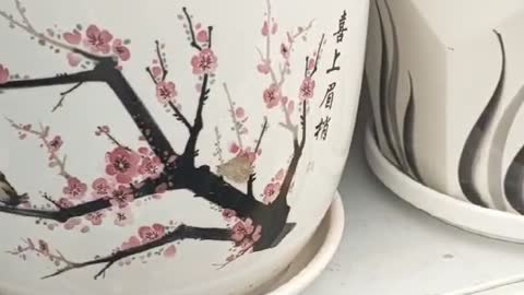 Different styles of ceramics