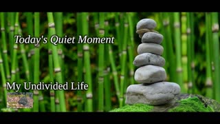 Today's Quiet Moment -#3