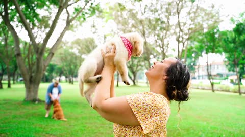 The dog kissed the woman lovingly