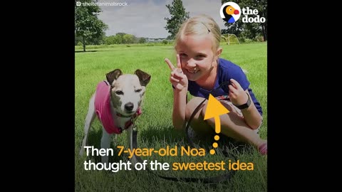 Kids Throw Party For Dying Foster Dog | The Dodo