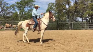 Controlling your horses Hind Quarters
