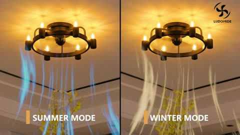 LUDOMIDE Ceiling Fans with Lights, Low Profile Ceiling Fan with Light and Remote