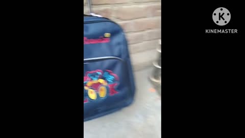 Kids trolly bag