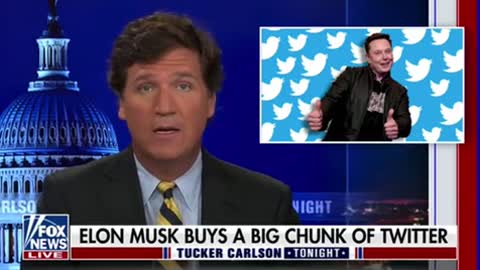 Tucker Carlson covers Elon Musk's huge share grab at Twitter