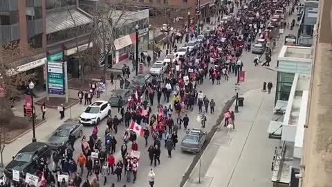 🇨🇦 The Spectacular Success of The Truckers for Freedom Protest in Ottawa