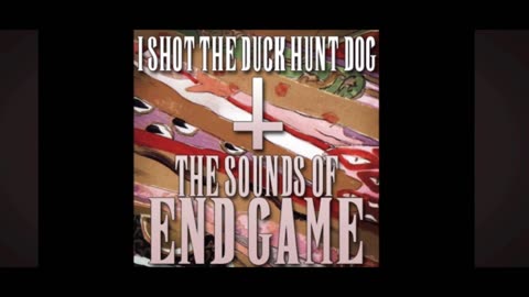 I Shot the Duck Hunt Dog - BGM #6