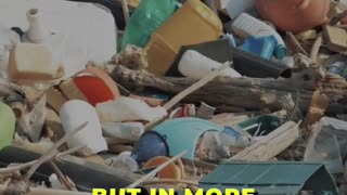 🌊 The Dominance Of Plastic in European Beach Waste 🌊