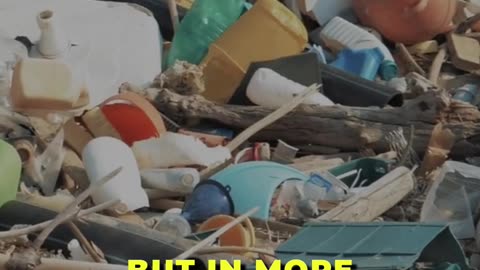 🌊 The Dominance Of Plastic in European Beach Waste 🌊
