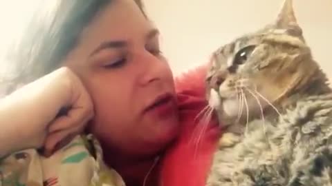 Talking cat says NO! to kisses on the head