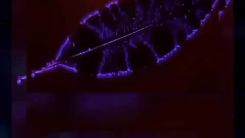 SHADOW 🧬 THIS IS DNA OF THE PLANT