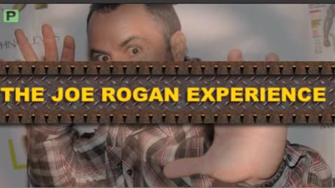 Joe Rogan Experience #294 - Ari Shaffir