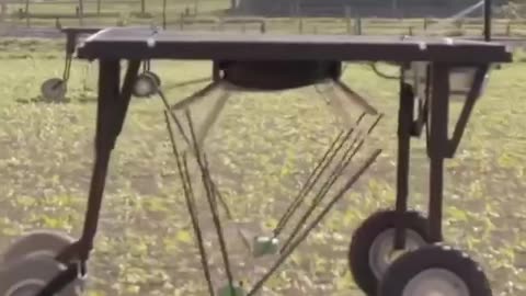 This solar-powered weeding robot offers more sustainable use of herbicides.