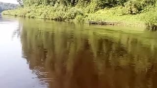 nature and river