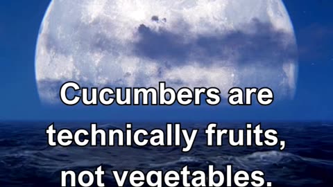 Cucumbers are technically fruits, not vegetables.