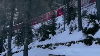 SWITZERLAND'S BESTWINTER ACTIMTY