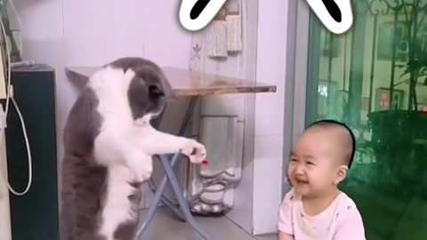 Cat Dancing #funny #baby_laughing