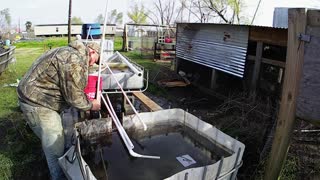 Putting my aquaponics garden together.