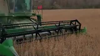 Soybean Harvest 2021, John Deere 9500
