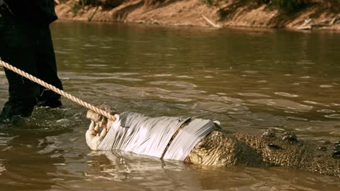 was the crowning aquatic glory of Paris,