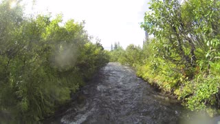 Alaska caribou hunt GMU13 2021 - Secret location