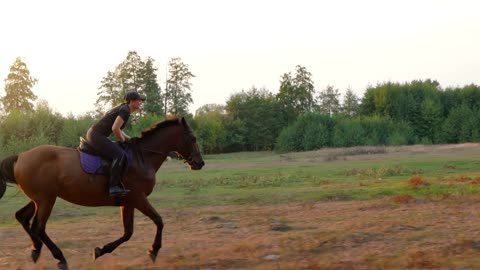 Woman riding horse by gallop at sunset. Horseback riding in slow motion