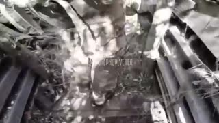 🚶‍♂️ Ukraine Russia War | Russian Fighters in Belogorovka Trench | Showing Killed Ukrainians | RCF