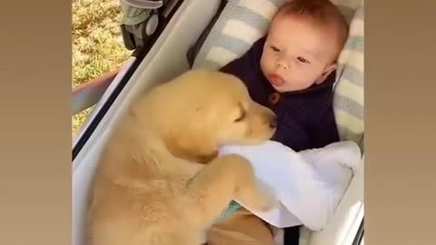 Cute puppy sleeping with a baby