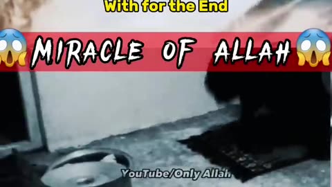 miracle of allah