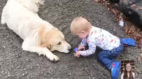 Adorable Babies Playing With Dogs Compilation Funny Baby And Dog Videos Just Laugs