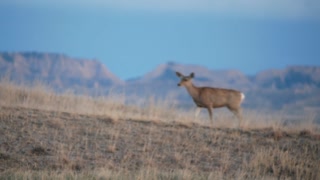 Best Of The Badlands Footage