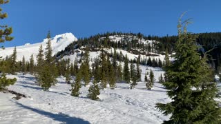 Exploring Mount Hood National Forest – White River West Sno Park – Oregon – 4K