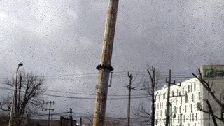 Exact moment a falling billboard hits cars in Mexico