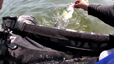 float tube fishing lake perris