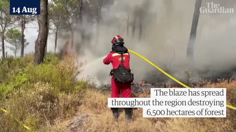 Wildfires tear through forests in Spain's south-eastern Valencia region