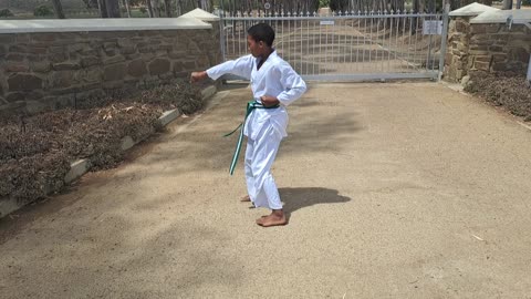 B10 - Gabriel Sekoe - Green - Pinan Nidan