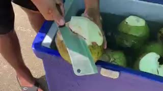 Amazing Coconut Cutting Skills _ Thai Street Food _15วัน15Shorts-bFe_89_hVUQ