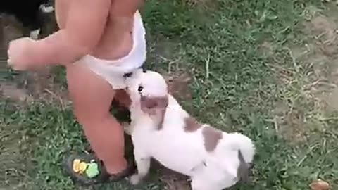 Baby and puppy friendship