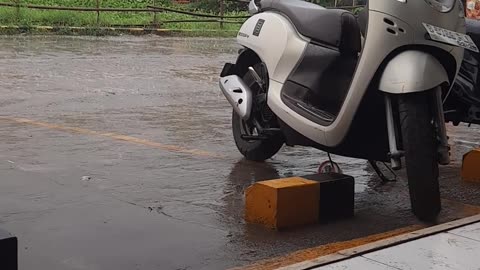 Indonesian rain