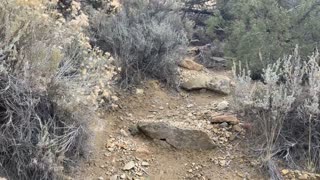 Central Oregon – Smith Rock State Park – Climbing Up a Steep Trail